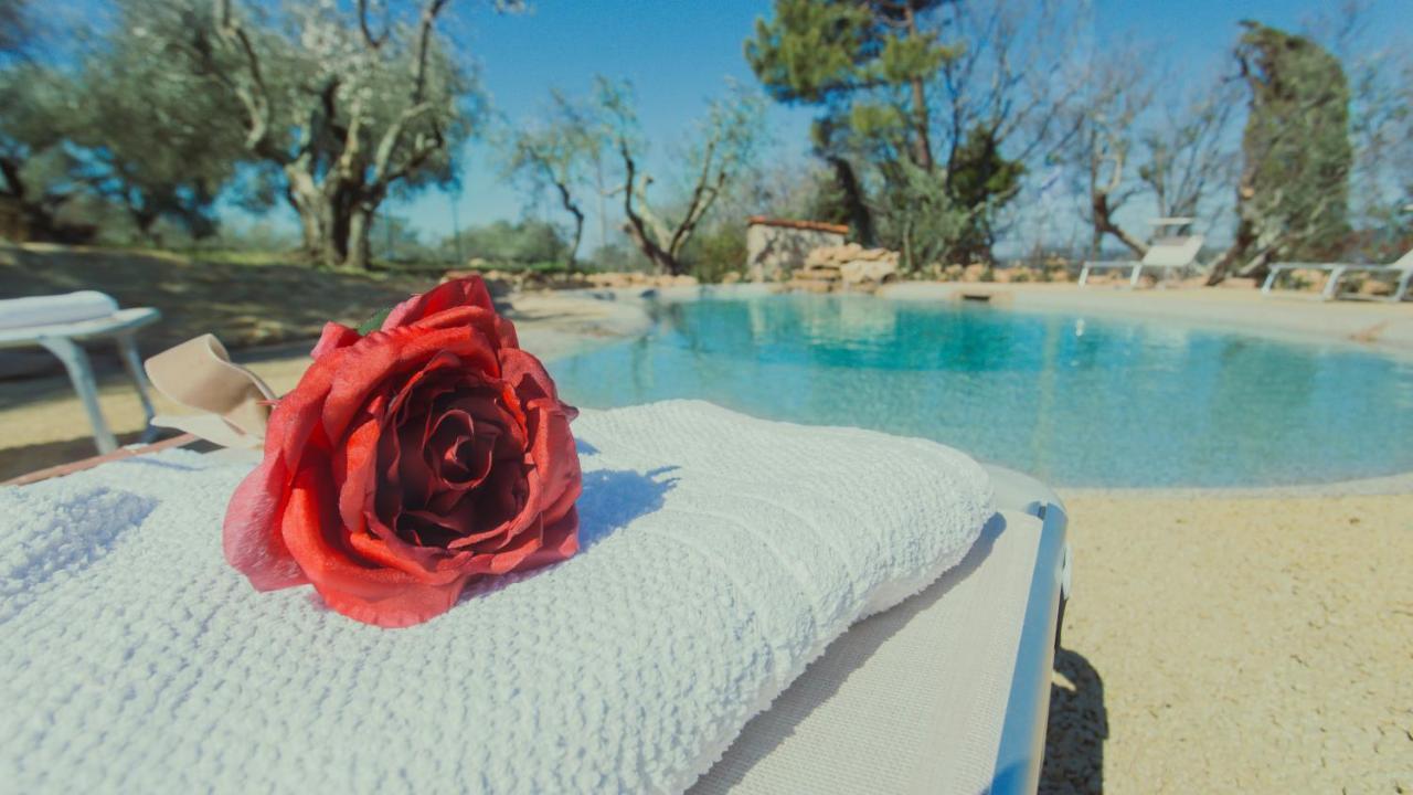 Case&Colline Villa Laura Montescudaio Exterior foto