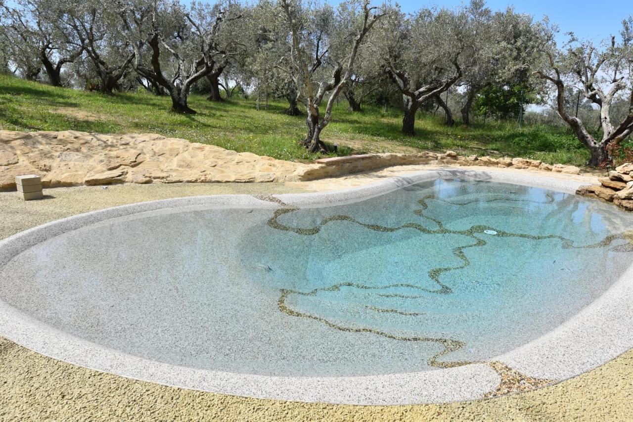 Case&Colline Villa Laura Montescudaio Exterior foto